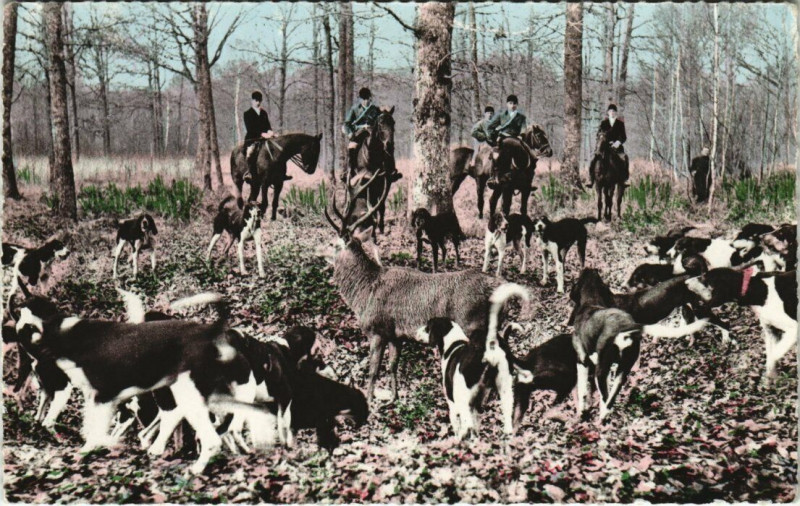Carte postale ancienne Chasse en Foret