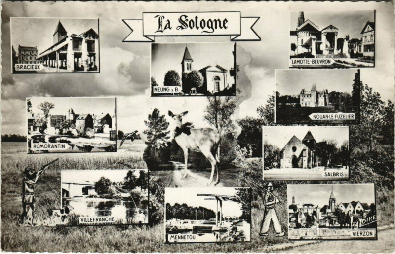 Carte postale ancienne La Sologne