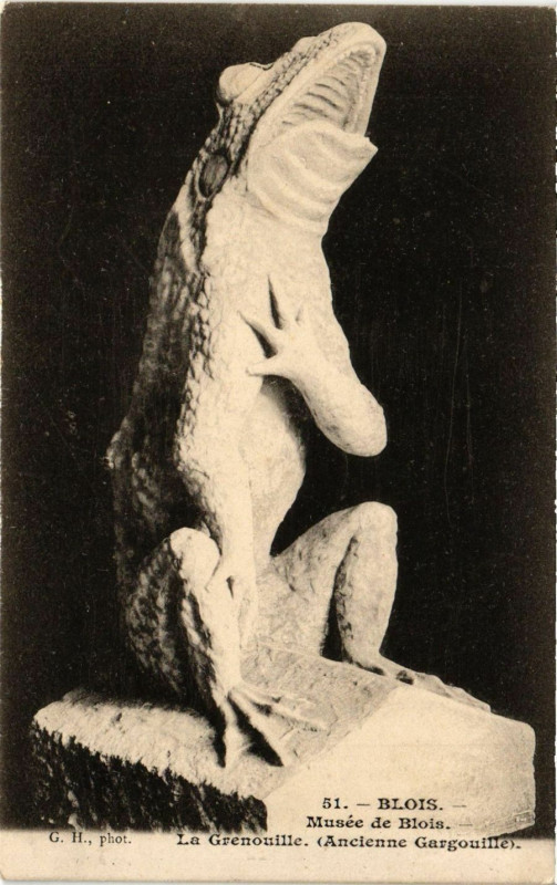 Carte postale ancienne Blois - Musée de Blois - La Grenouille (Ancienne Gargouille) à Blois