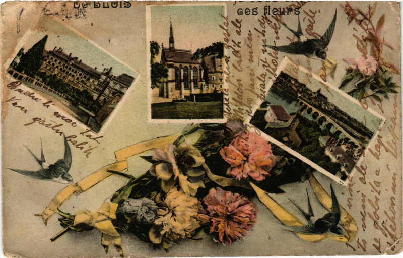 Carte postale ancienne Du Blois ces fleurs à Blois