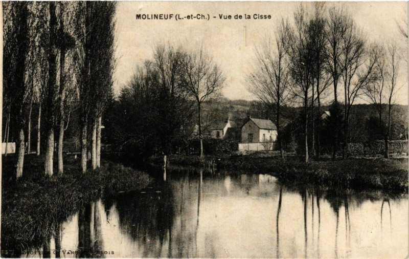 Carte postale ancienne Molineuf - Vue de la Cisse