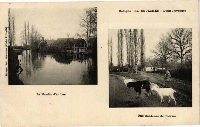 Carte postale ancienne Sologne - Souesmes - Doux Paysages à Souesmes
