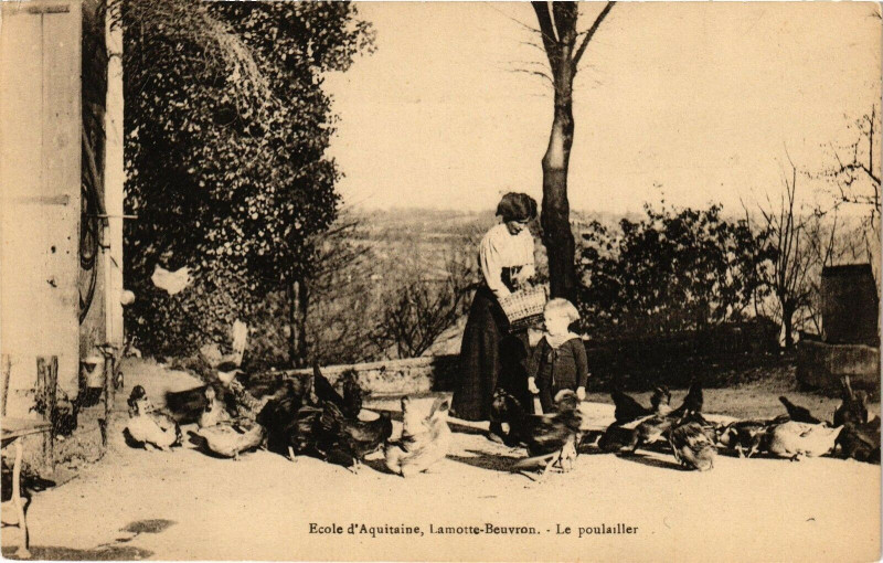 Carte postale ancienne Ecole d'Aquitanie Lamotte-Beuvron - Le poulailler à Lamotte-Beuvron