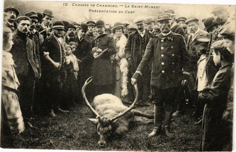 Carte postale ancienne Chasses de Chambord - La St-Hubert - PRESentation du Cerf à Chambord