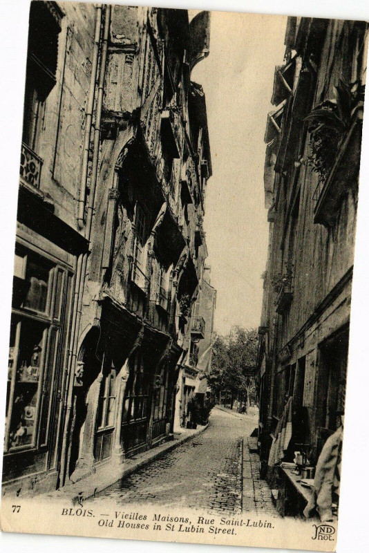 Carte postale ancienne Blois - Vieille Maisons Rue St-Lubin - Old Houses in St-Lubin à Blois