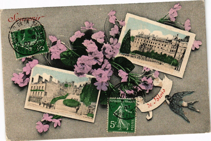 Carte postale ancienne Souvenir de Blois à Blois