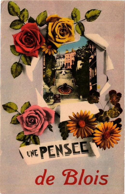 Carte postale ancienne Une Pensée de Blois à Blois