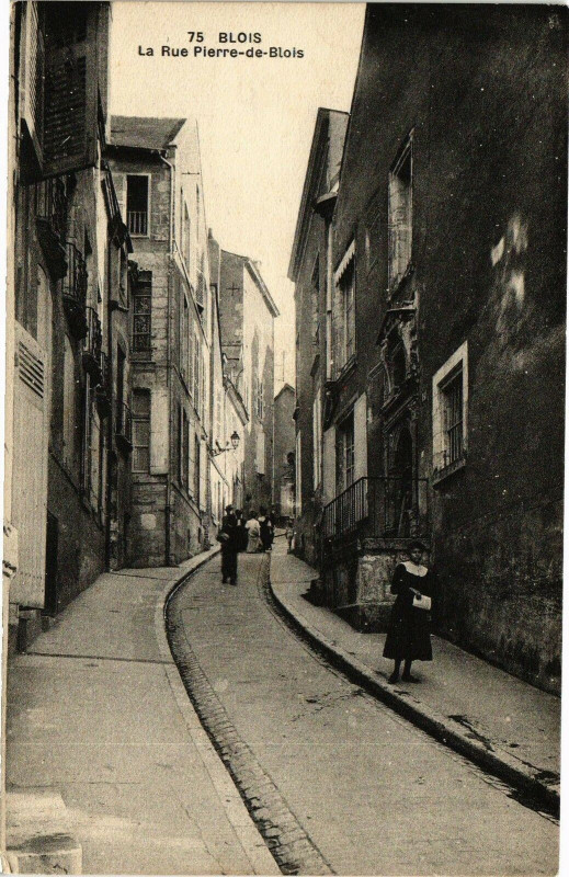Carte postale ancienne Blois - La Rue Pierre-de-Blois à Blois