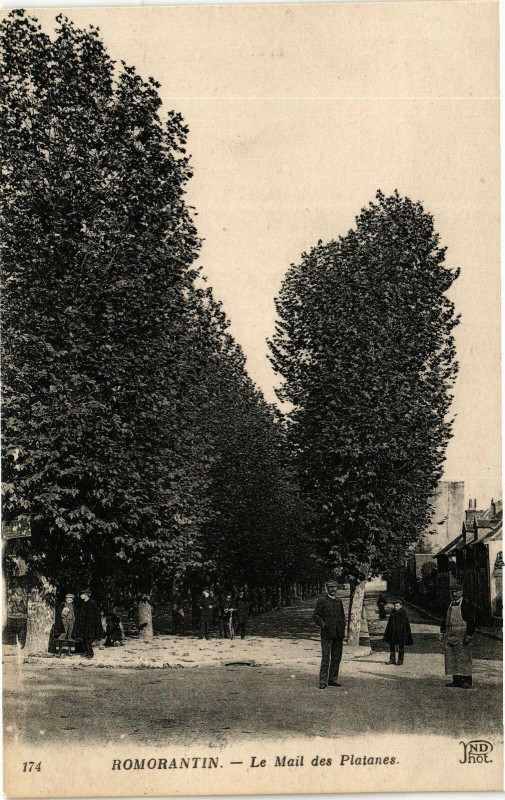 Carte postale ancienne Romorantin - Le Mail des Platanes