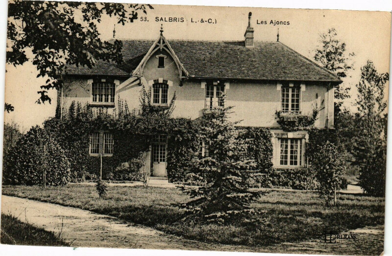 Carte postale ancienne Salbris (L.-&-C.) - Les Ajoncs à Salbris