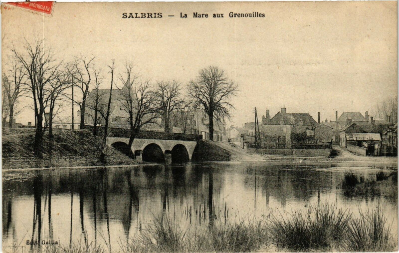 Carte postale ancienne Salbris - La Mare aux Grenouilles à Salbris