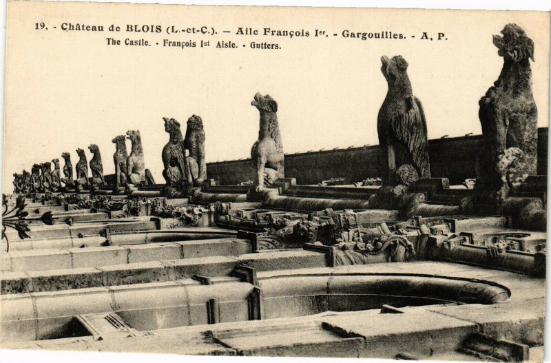 Carte postale ancienne Chateau de Blois-Gargouilles à Blois