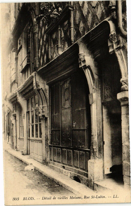 Carte postale ancienne Blois-Detail de vieilles Maisons-Rue St-Lubin à Blois