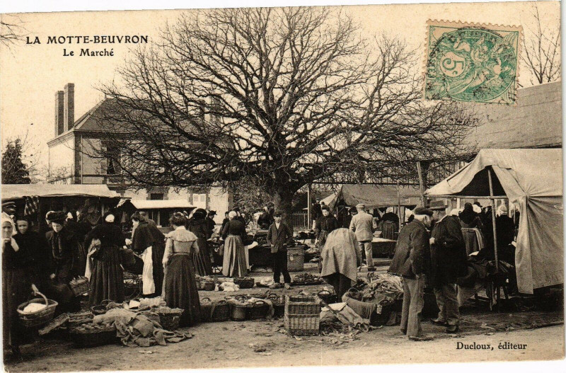 Carte postale ancienne La Motte - Beuvron - Le Marché