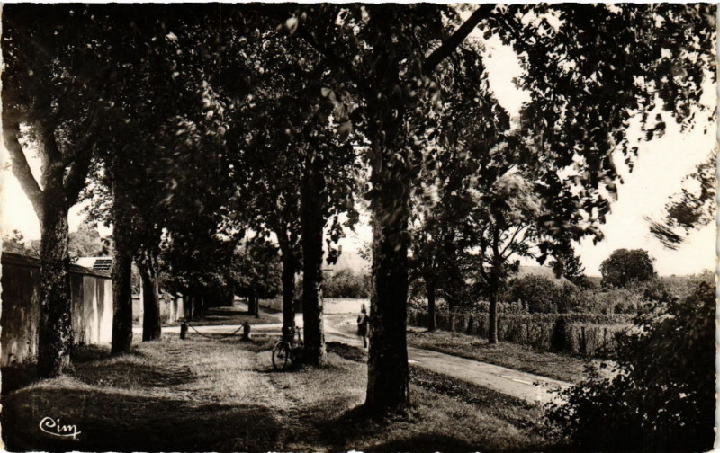 Carte postale ancienne Henrichemont - Les Promenades à Henrichemont