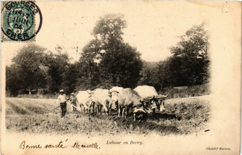 Carte postale ancienne Labour du Berry - Folklore - Types