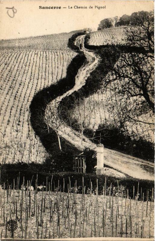Carte postale ancienne Sancerre Le Chemin de Pignol à Sancerre