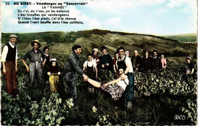 Carte postale ancienne Au Berry Vendanges au Sancerrois