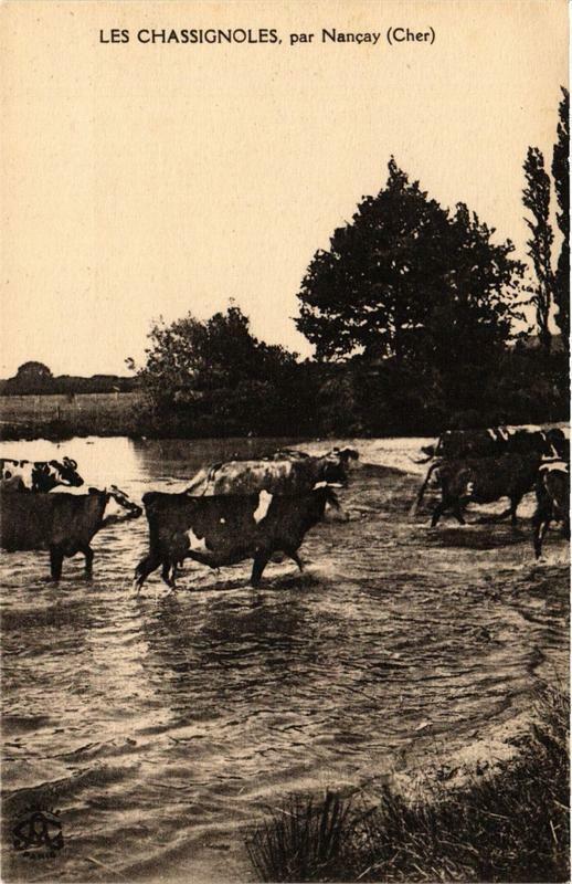 Carte postale ancienne Les Chassignoles par Nancay à Nançay