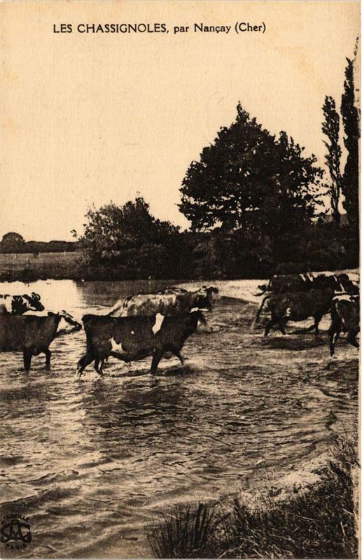Carte postale ancienne Les Chassignoles par Nancay à Nançay