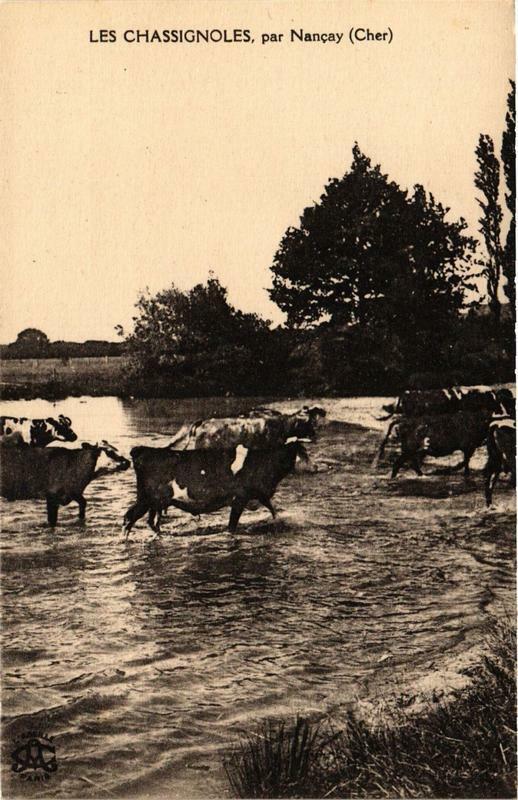 Carte postale ancienne Les Chassignoles par Nancay à Nançay