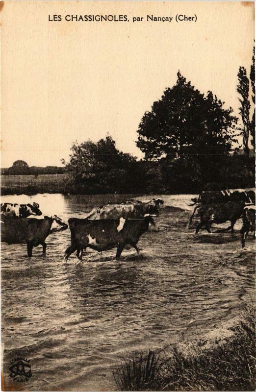 Carte postale ancienne Les Chassignoles par Nancay à Nançay