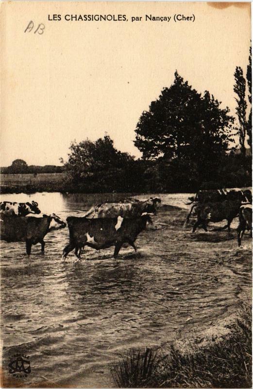 Carte postale ancienne Les Chassignoles par Nancay à Nançay