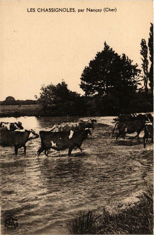 Carte postale ancienne Les Chassignoles par Nancay à Nançay