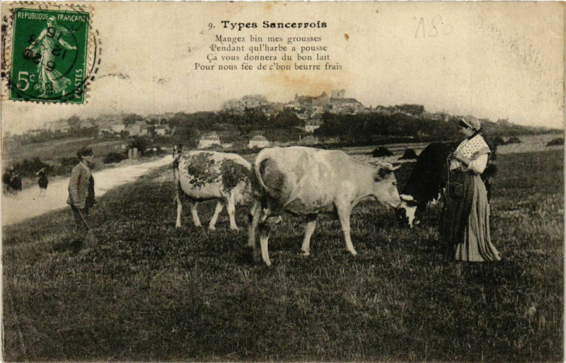Carte postale ancienne Types Sancerrois