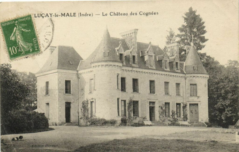 Carte postale ancienne Lucay-le-Male - Le Chateau des Cognées à Luçay-le-Mâle