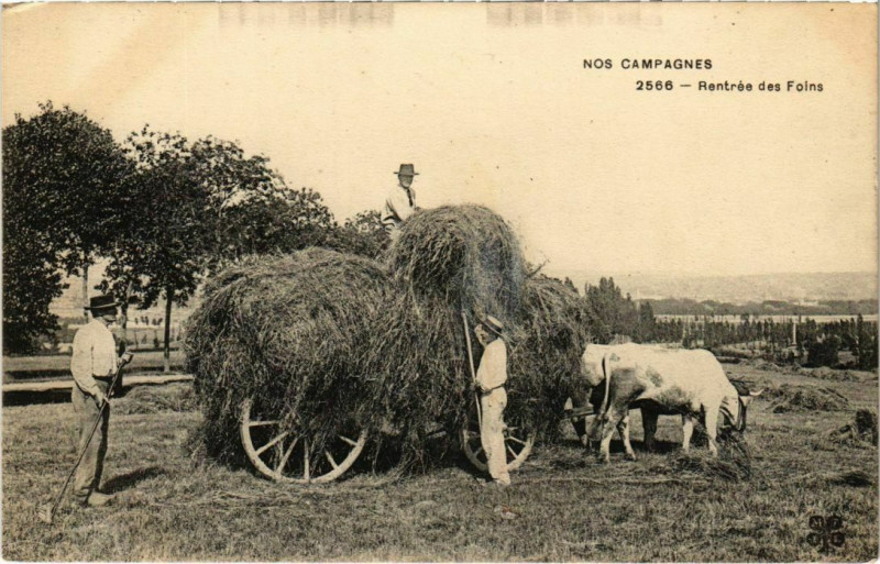 Carte postale ancienne Nos campagnes - Rentrée des Foins