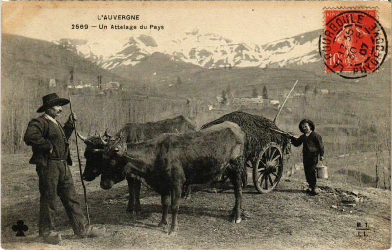 Carte postale ancienne L'Auvergne - Un Attelage du Pays