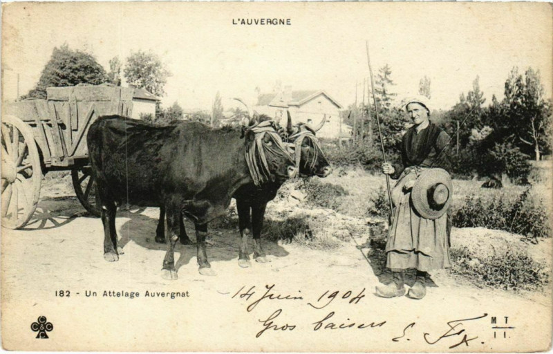 Carte postale ancienne Auvergne - Un Attelage