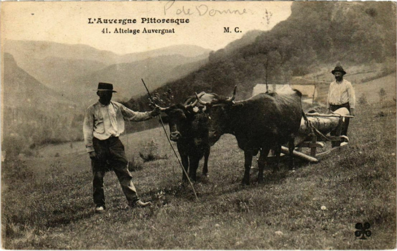 Carte postale ancienne Auvergne - Attelage
