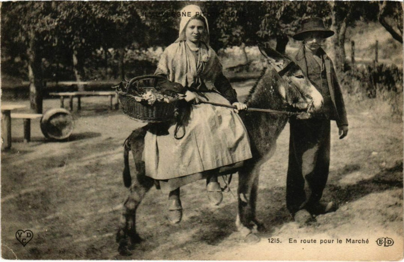 Carte postale ancienne Auvergne - En route pour le Marché