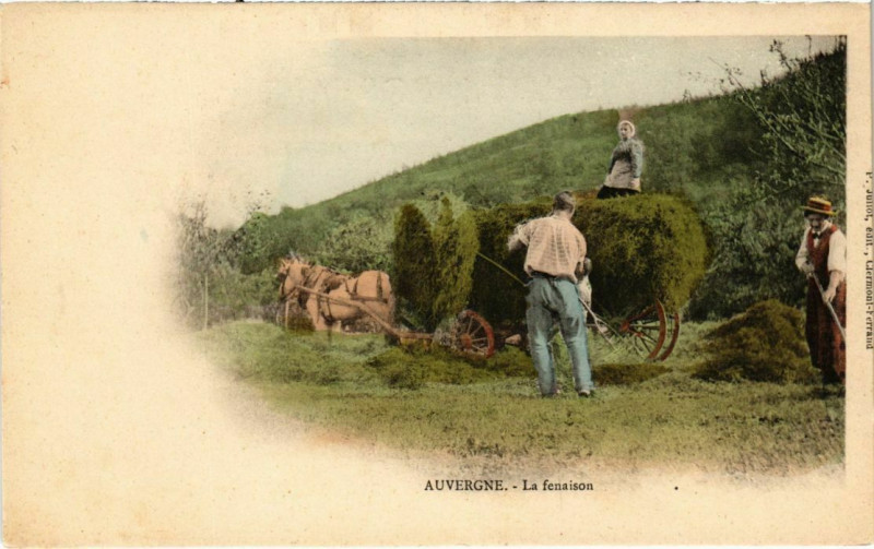 Carte postale ancienne Auvergne - La fenaison