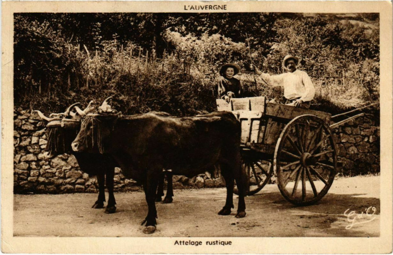 Carte postale ancienne L'Auvergne - Attelage rustique