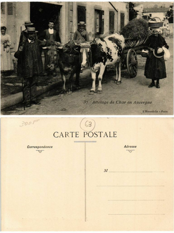 Carte postale ancienne 37 Types Attelage de Char en Auvergne