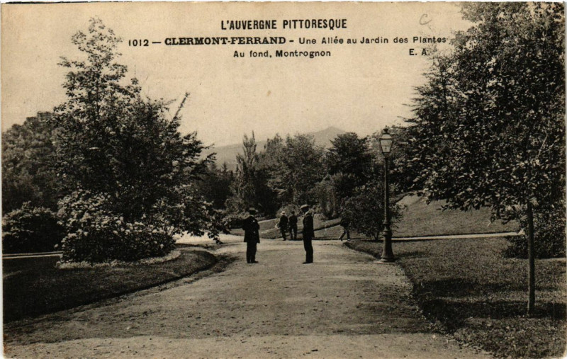 Carte postale ancienne Clermont-Ferrand Une Allée au Jardin des Plantes à Clermont-Ferrand