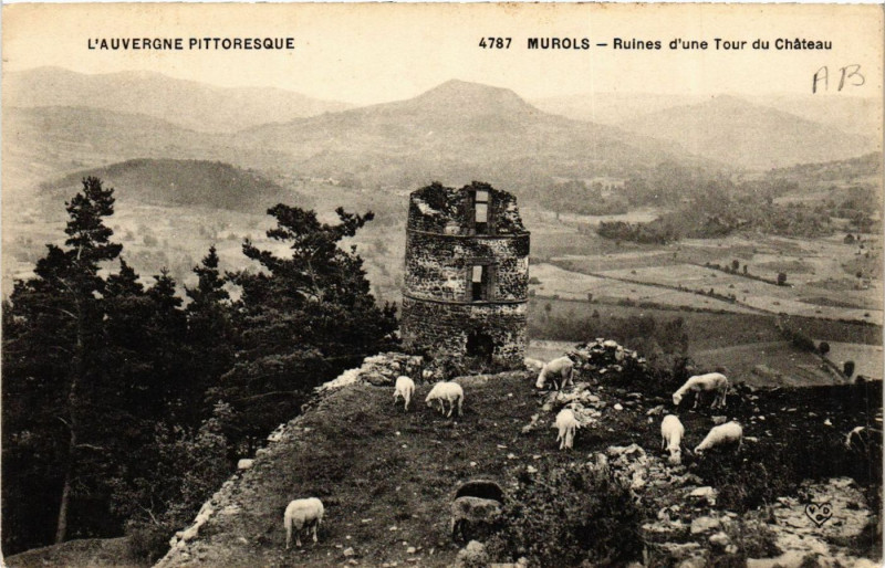Carte postale ancienne L'Auvergne Pittoresque Murols Ruines d'une tour du Chateau à Murol