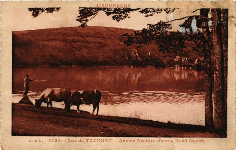 Carte postale ancienne Auvergne Lac De Tazenat Ancien Cratere. Partie Nord Ouest