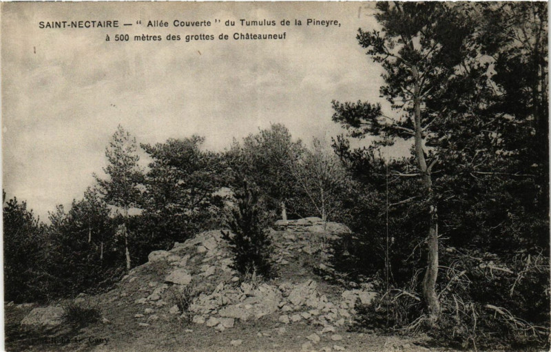 Carte postale ancienne Saint-Nectaire Allée Couverte du Tumulus de la PINeyre à Saint-Nectaire