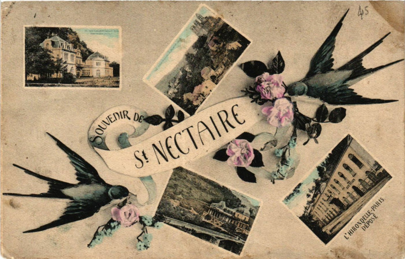 Carte postale ancienne Souvenir de Saint-Nectaire à Saint-Nectaire