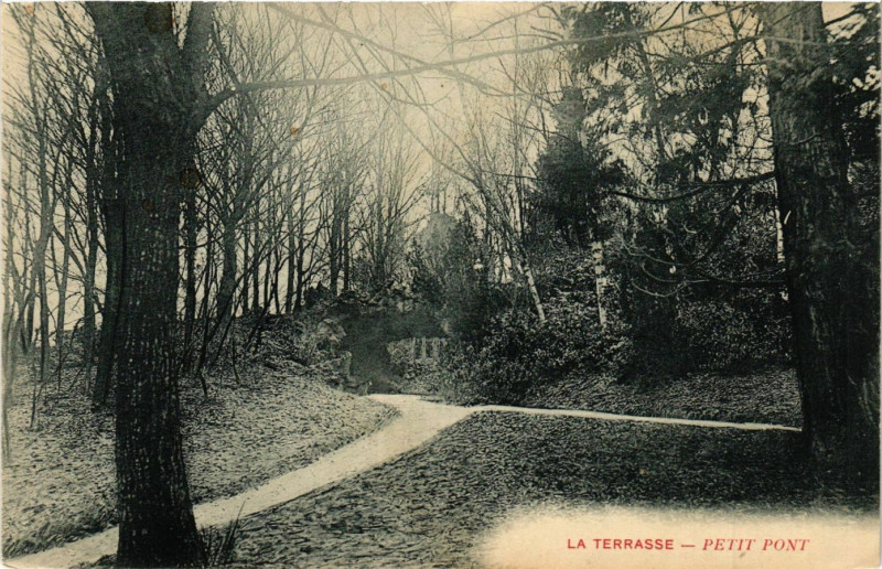 Carte postale ancienne La Terrasse Petit Pont
