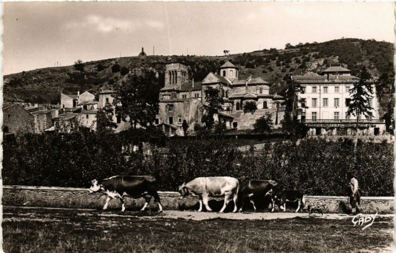 Carte postale ancienne Volvic - Vue d'ensemble à Volvic