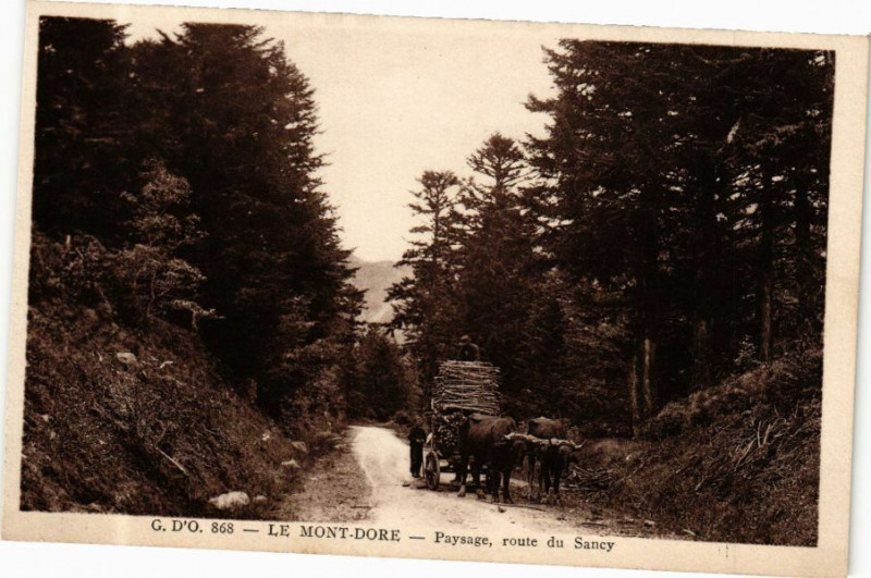 Carte postale ancienne G. D'O. - Le Mont-Dore - Paysage route du Sancy à Mont-Dore
