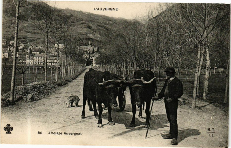 Carte postale ancienne L'Auvergne - Attelage Auvergnat