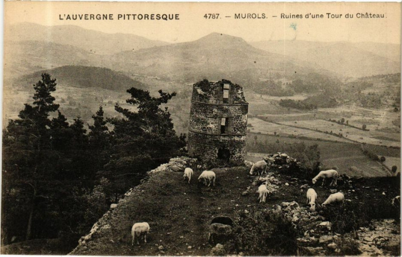 Carte postale ancienne L'Auvergne Pittoresque - Murols - Ruines d'une Tour du Chateau à Murol