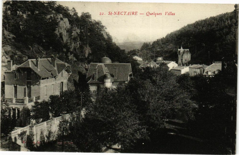 Carte postale ancienne Saint-Nectaire - Quelques villas à Saint-Nectaire
