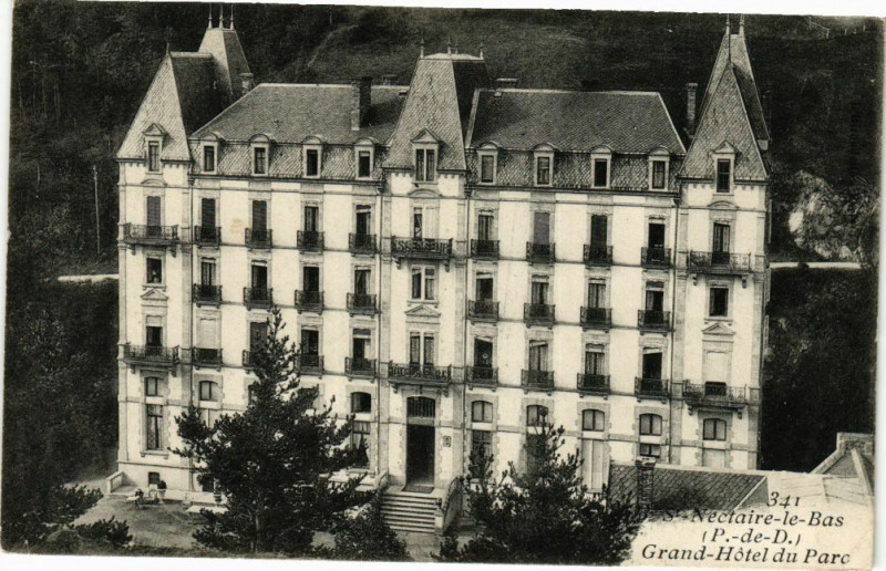 Carte postale ancienne Saint-Nectaire-le-Bas - Grand hotel du parc à Saint-Nectaire